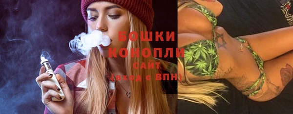 трава Карпинск