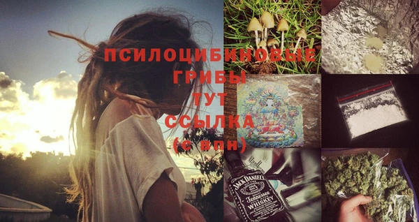 ешки Кодинск