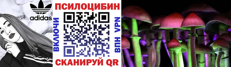 Галлюциногенные грибы Psilocybine cubensis  Лагань 